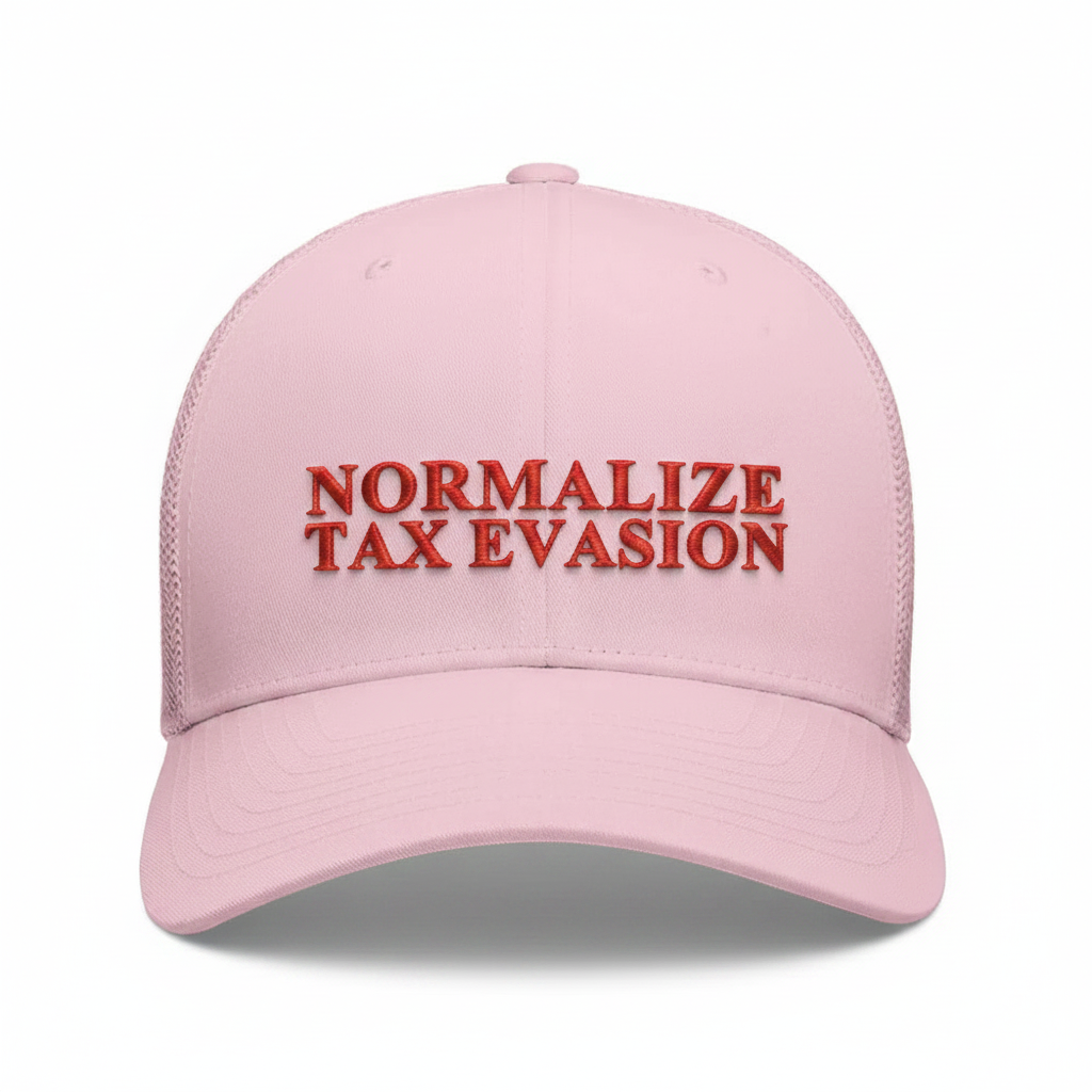 Casquette Normalize Tax Evasion pink